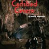 Comprehension * | Making Connections Carlsbad Cavern Book, Grade 2, Pack Of 6