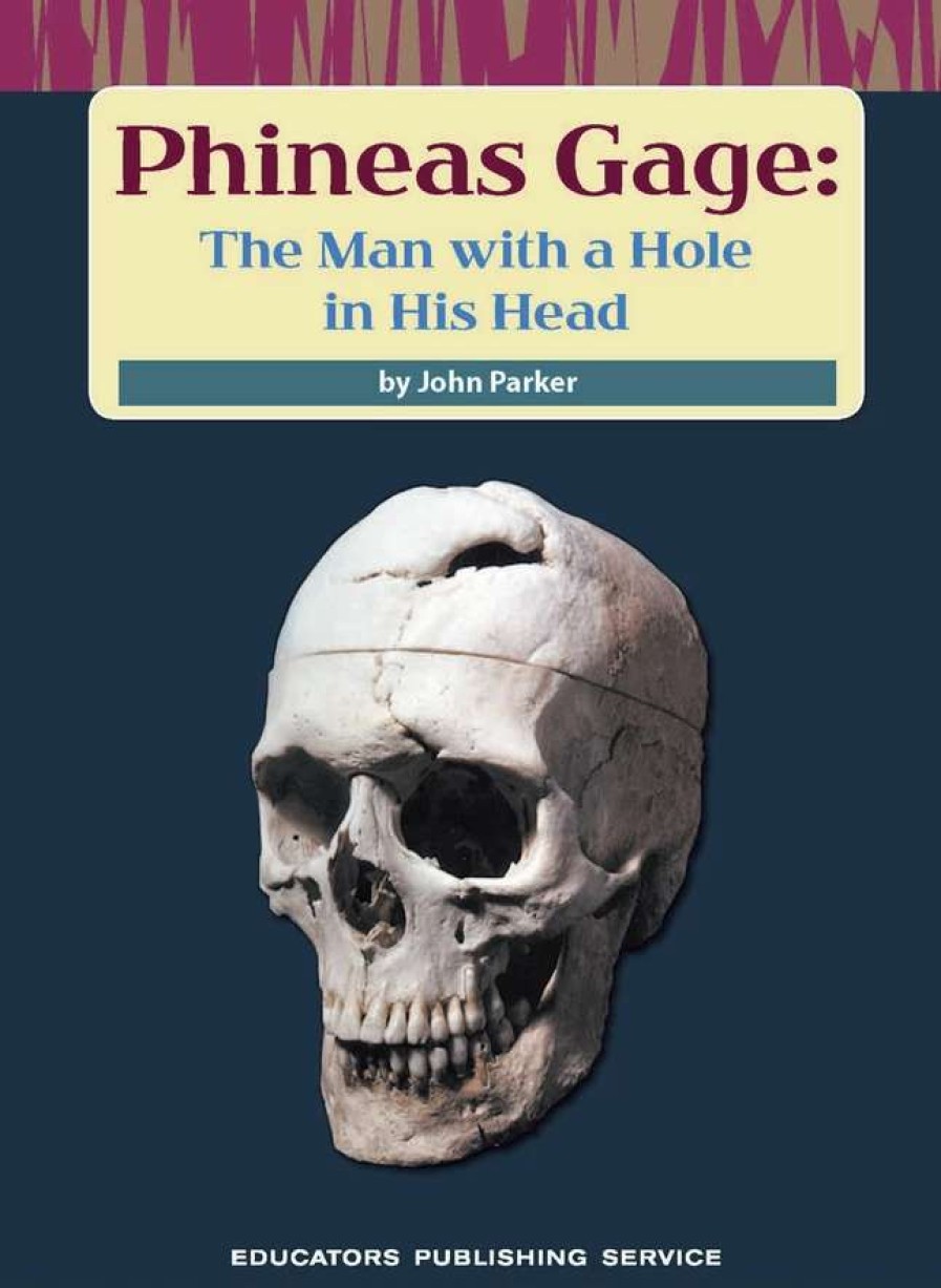 Comprehension * | Mc Intervention Making Connections Intervention, Phineas Gage, Aqua, Pack Of 6