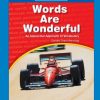 Vocabulary * | Words Are Wonderful, Book 3, Test