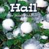 Comprehension * | Making Connections Hail Book, Grade 2, Pack Of 6