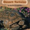 Comprehension * | Making Connections Desert Tortoise Book, Grade 1, Pack Of 6